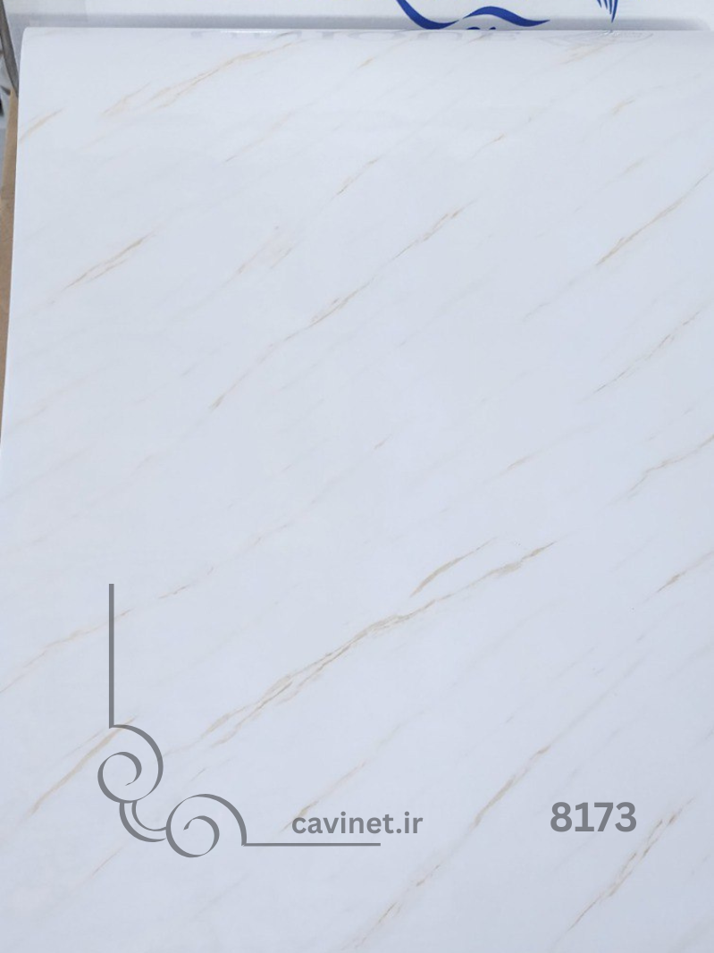 unique 8173