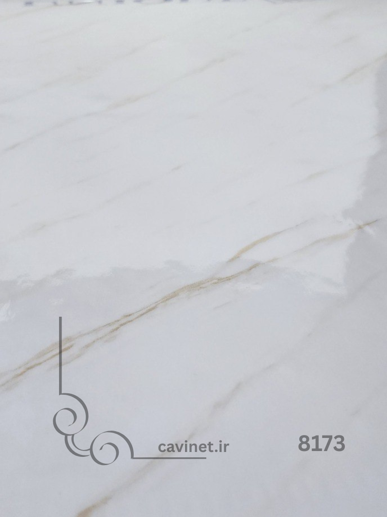 unique 8173.