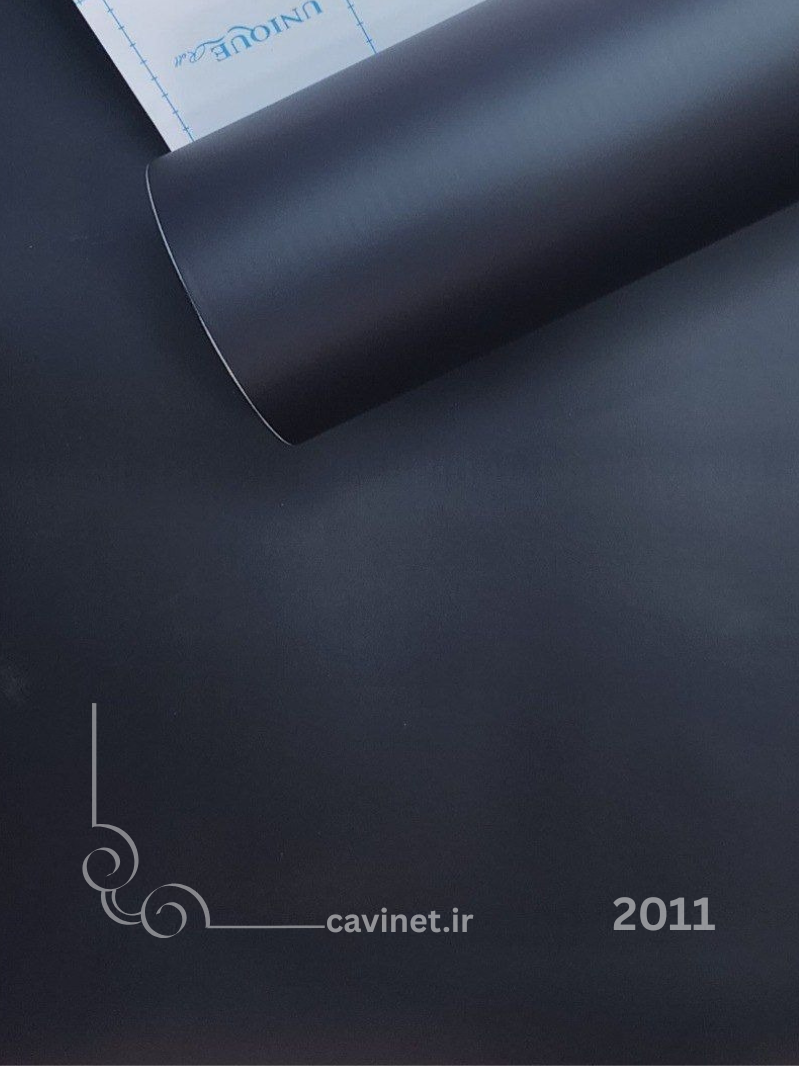 unique 2011